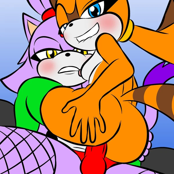 blaze the cat, marine the raccoon (sega, sonic the hedgehog (series)) created by sirjzau