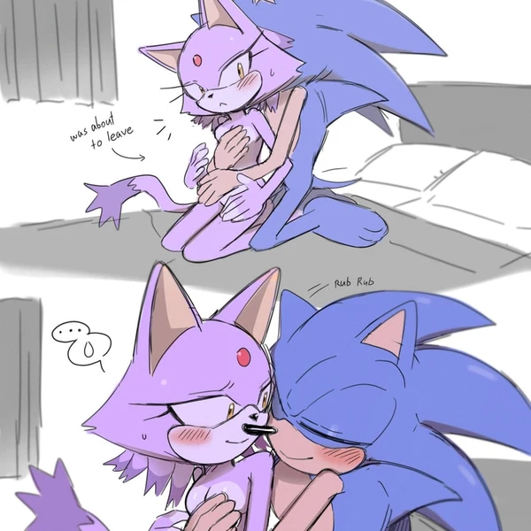 blaze the cat, sonic the hedgehog (sega, sonic the hedgehog (series)) created by yeoon