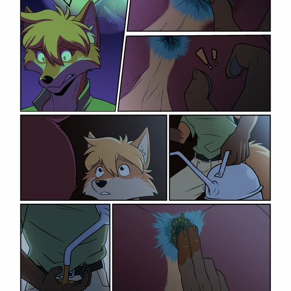 bob (bobthefelkin) created by prismanoodle