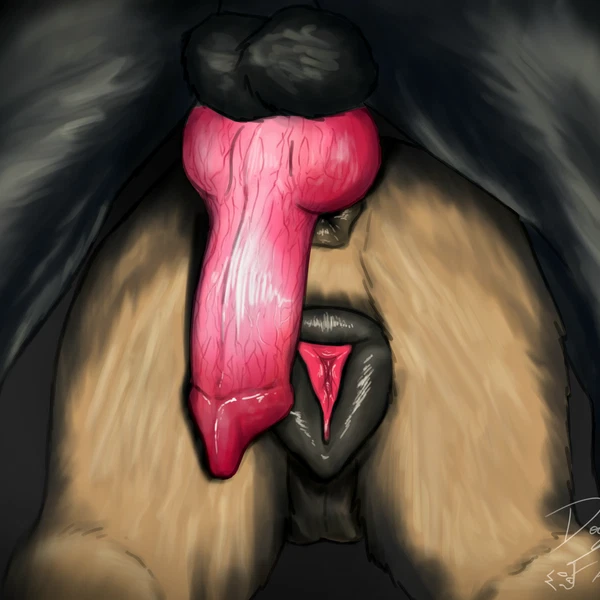 created by dogface