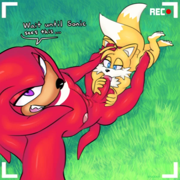 knuckles the echidna, miles prower (sega, sonic the hedgehog (series)) created by rakkan