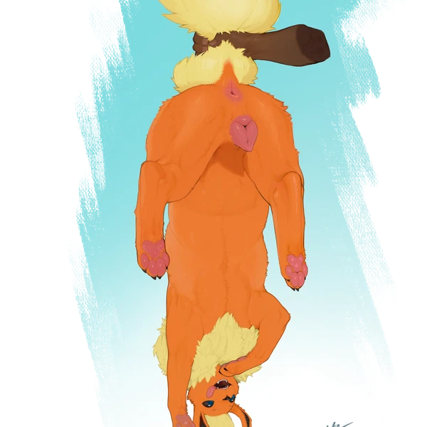 nintendo, pokemon created by soloko