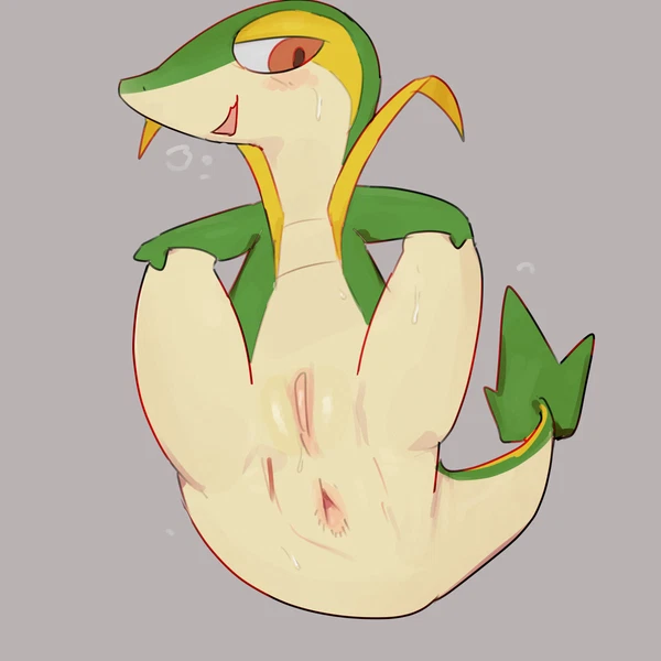 nintendo, pokemon created by solterv