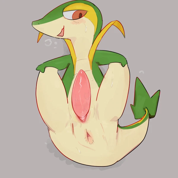 nintendo, pokemon created by solterv