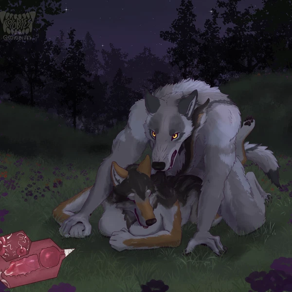 timbera (mythology) created by coyobites