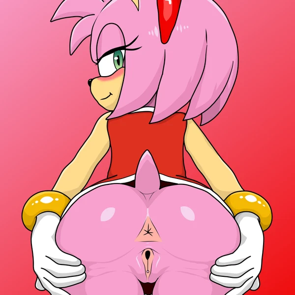 amy rose (sega, sonic the hedgehog (series)) created by quartzfr