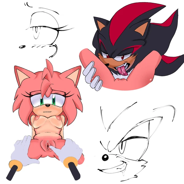 amy rose, shadow the hedgehog (sega, sonic the hedgehog (series)) created by l1l9thpoki