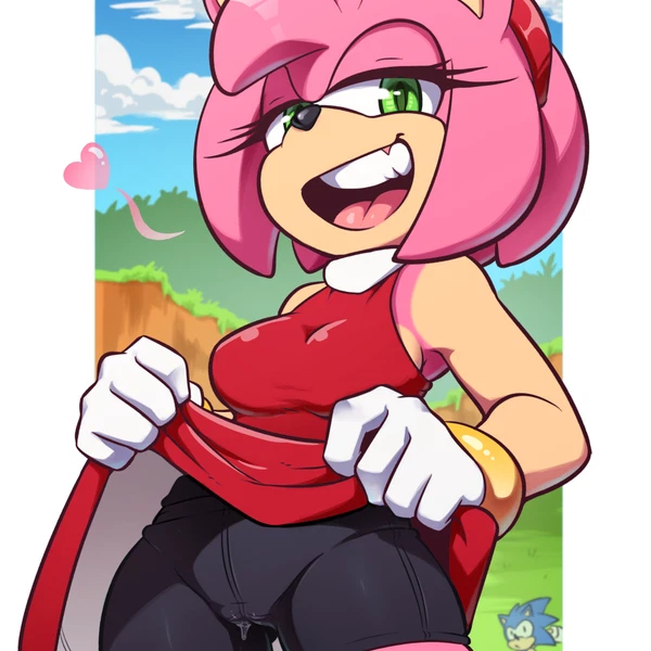 amy rose, sonic the hedgehog (sega, sonic the hedgehog (series)) created by the other half