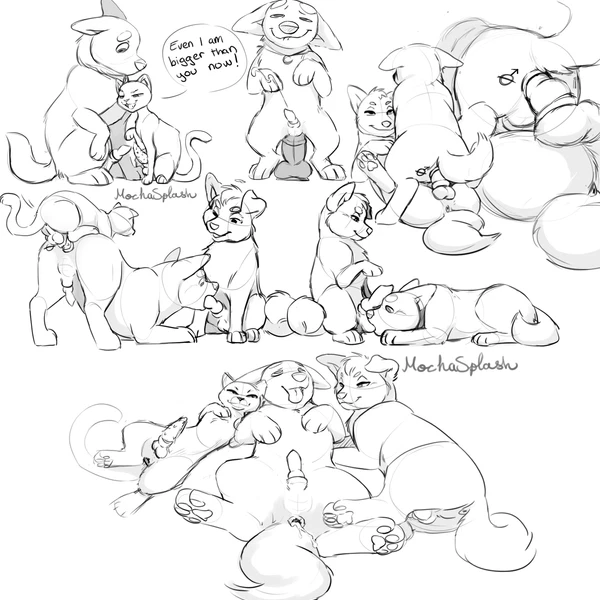 Angel (Lady And The Tramp), Bolt (Bolt), Mittens (Bolt) (Bolt (Film), Disney) Created By Mochasplash
