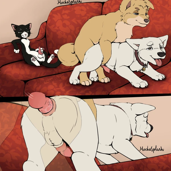 angel (lady and the tramp), bolt (bolt), mittens (bolt) (bolt (film), disney) created by mochasplash