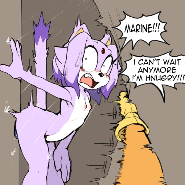 Blaze The Cat, Marine The Raccoon (Sega, Sonic The Hedgehog (Series)) Created By Justtaylor