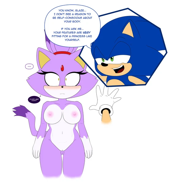 blaze the cat, sonic the hedgehog (sega, sonic the hedgehog (series)) created by duskxvi