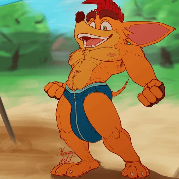 crash bandicoot (activision, crash bandicoot (series)) created by hermesdidit
