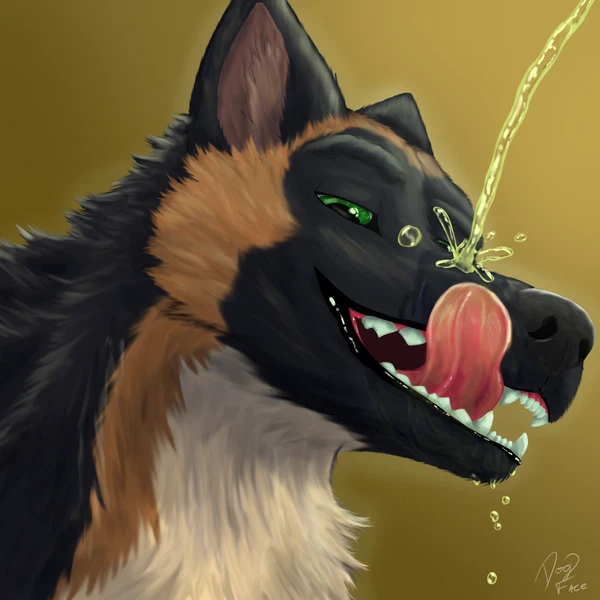 Created By Dogface
