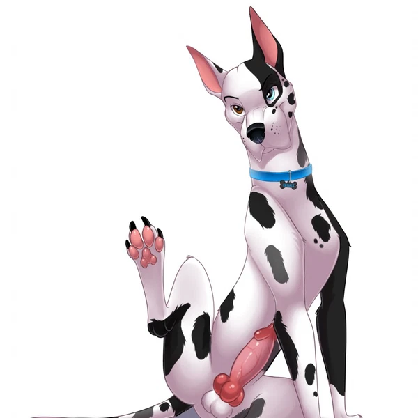 created by o-ruff