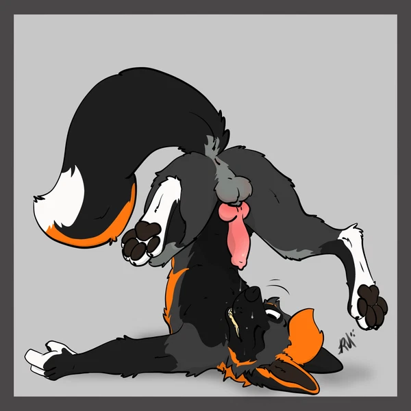 Created By Raposanaranja