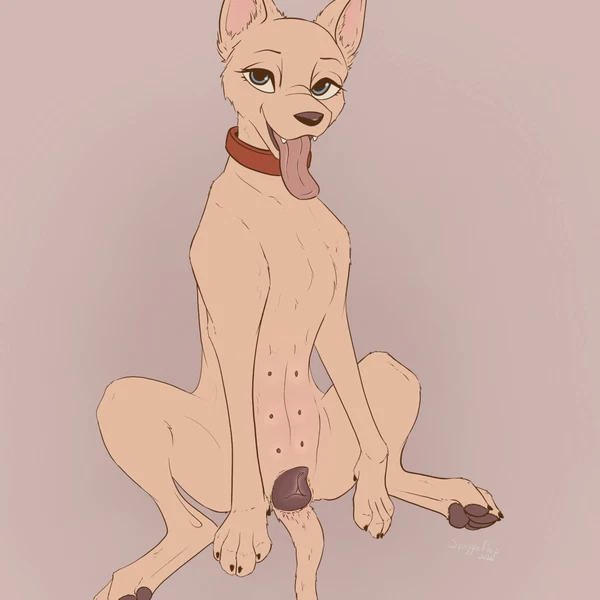 created by squiggleflop