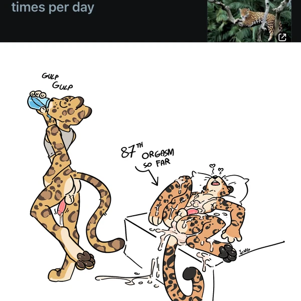 Created By Xing1