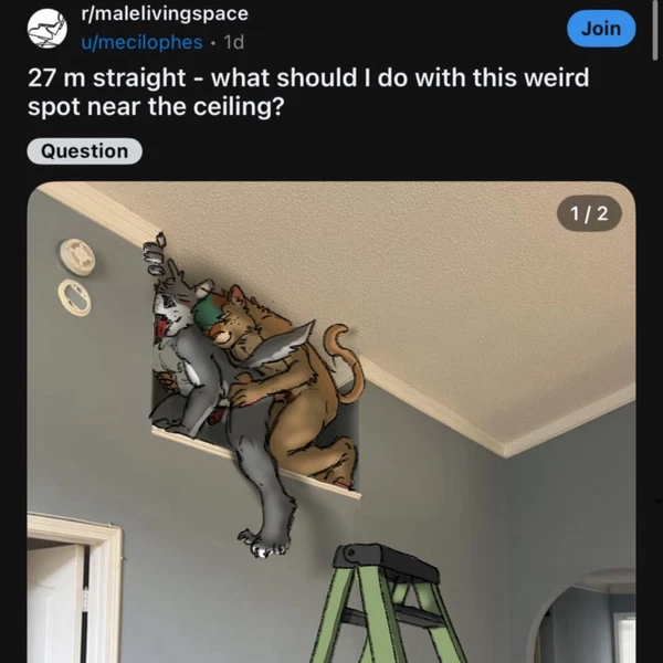 felix (knest), greyson (knest) (real world, reddit) created by knest