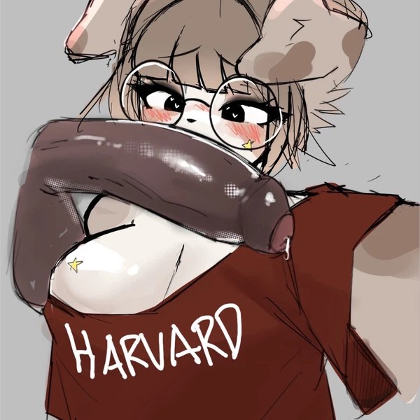 Harvard University Created By Jjigae