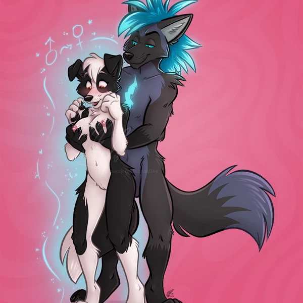 haurbus, ren collie created by nicnak044