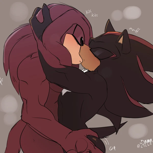 knuckles the echidna, shadow the hedgehog (sega, sonic the hedgehog (series)) created by toodamncycle