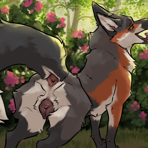 Nyx (Hakudoge) Created By Hakudoge