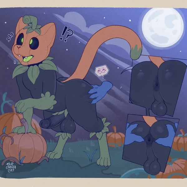 pumkat created by thecrazycatxd