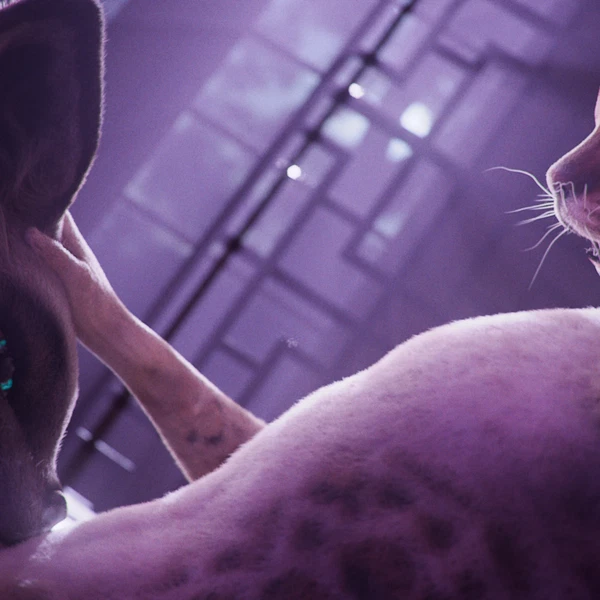 randy (hakya11), rue (hakya11) created by 0skillanimation