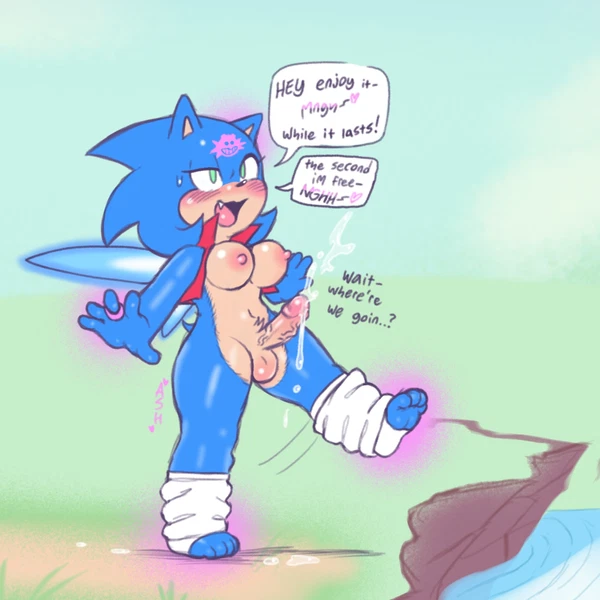 Sonic The Hedgehog (Eggman Logo, Sega) Created By Ashthenightt