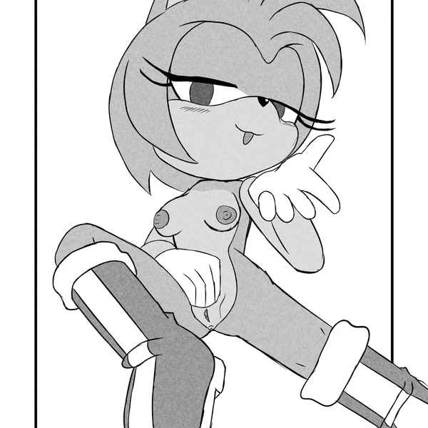 Amy Rose (Sega, Sonic The Hedgehog (Series)) Created By Chararts
