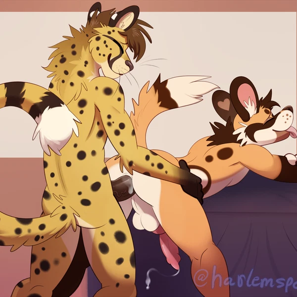 Azaren (Schrodingersfeline) Created By Harlem
