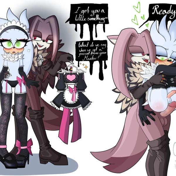 Blackwood The Ermine, Silver The Hedgehog (Sega, Sonic The Hedgehog (Series)) Created By Vvelocity