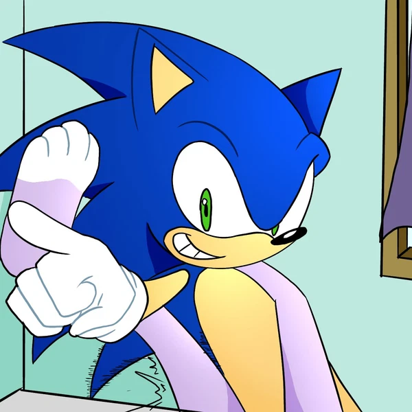 Blaze The Cat, Sonic The Hedgehog (American Psycho, Sega) Created By Heisa Phantom