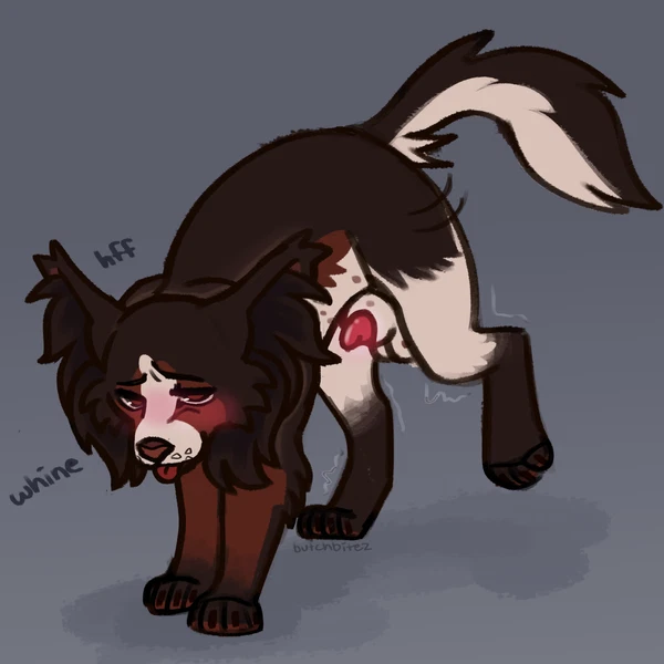 Coconut (Cokotheschnoot) Created By Butchbitez