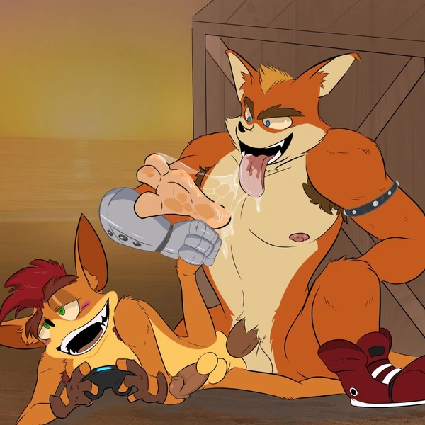 Crash Bandicoot, Crunch Bandicoot (Activision, Crash Bandicoot (Series)) Created By Doggymav