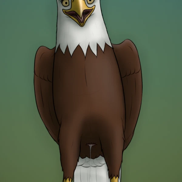 Created By Kobirr