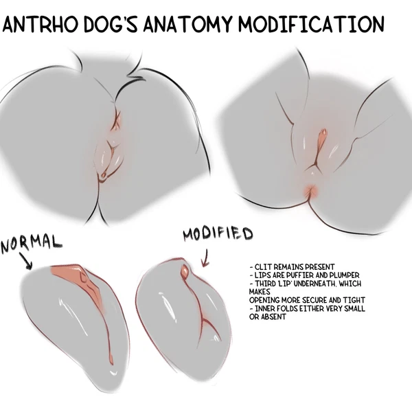 Created By Mystery.Dog