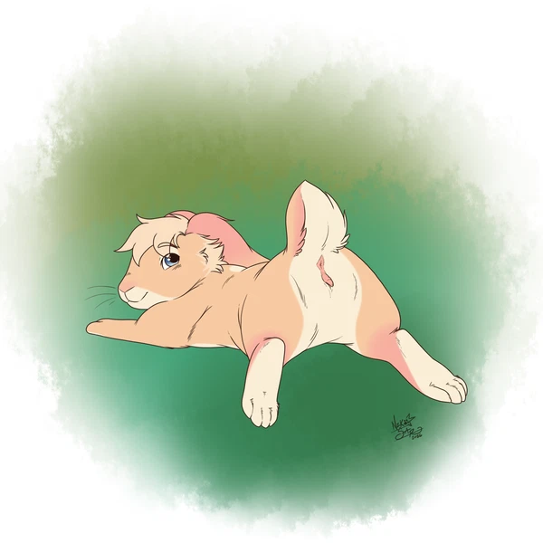 Created By Nekostar