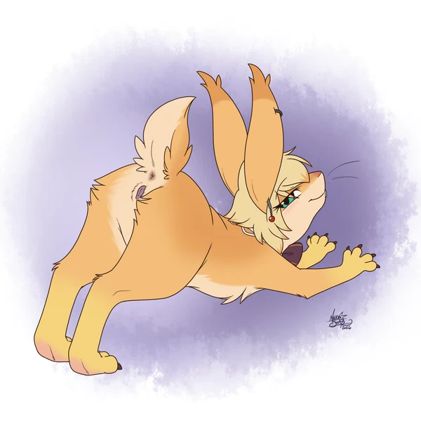Created By Nekostar
