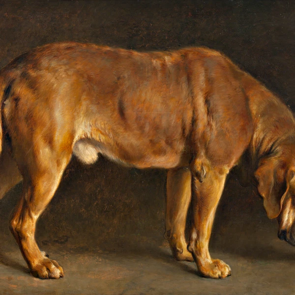Created By Otto Bache