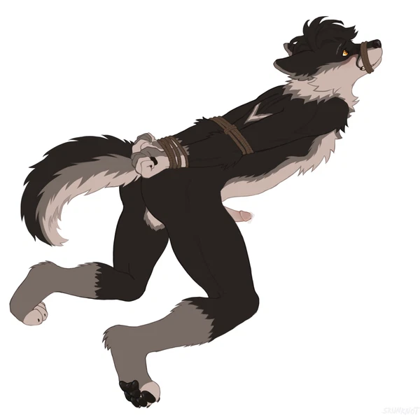 Created By Skunknot
