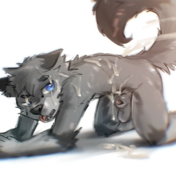 Created By Stampmats