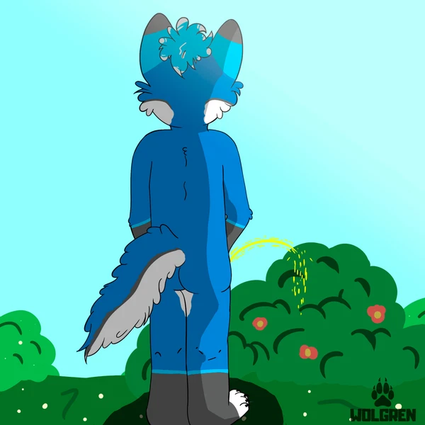 Created By Wolgren Matty