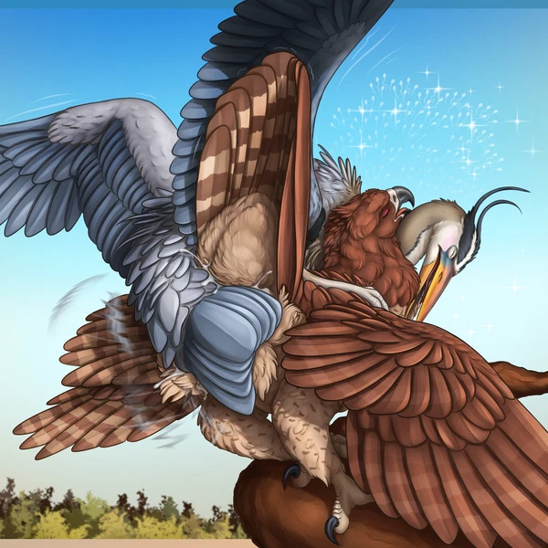 Henri (Bombird), Rose (Ferobird) Created By Ferobird
