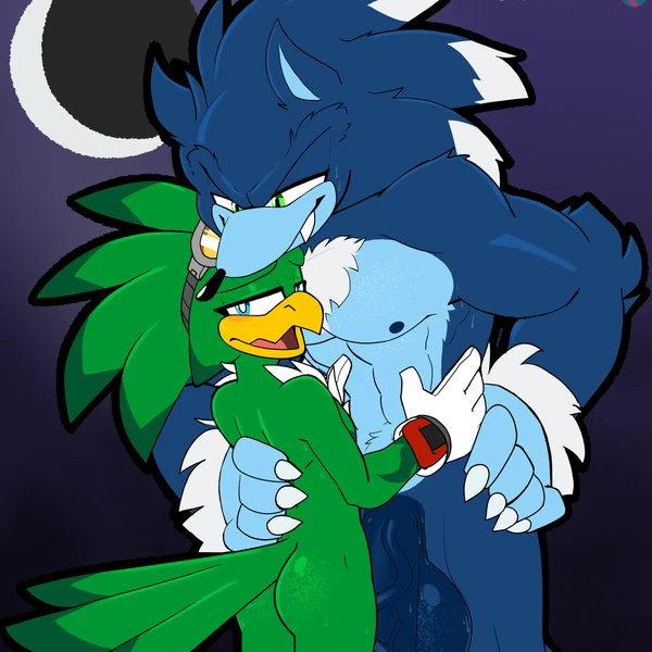Jet The Hawk, Sonic The Werehog (Sega, Sonic Riders) Created By Johnithanial