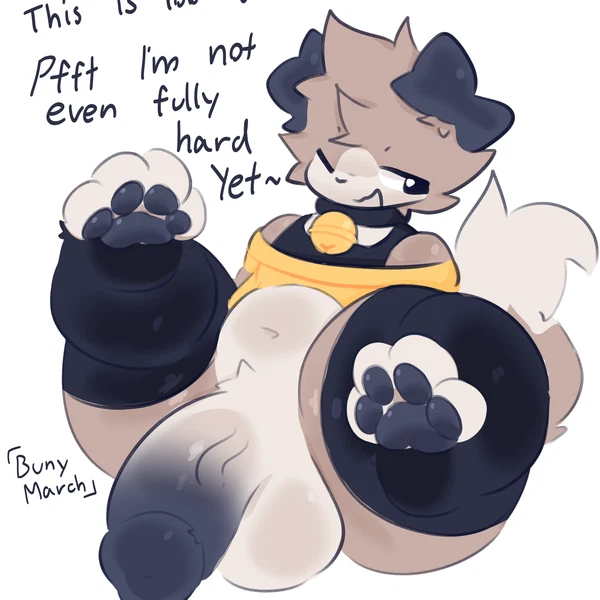 Kaden (Winteriris42) Created By Bunymarch42