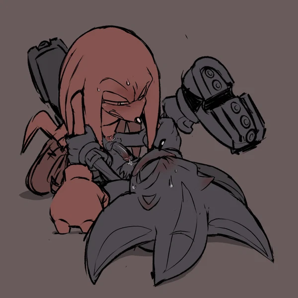 Knuckles The Echidna, Shadow The Hedgehog (Sega, Sonic The Hedgehog (Series)) Created By Somedivs