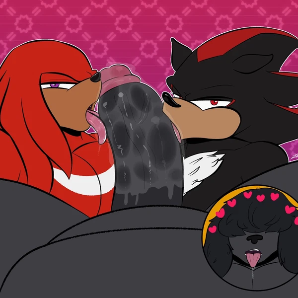 Knuckles The Echidna, Shadow The Hedgehog (Sega, Sonic The Hedgehog (Series)) Created By Zackdadawg