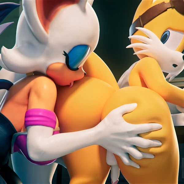Miles Prower, Rouge The Bat (Sega, Sonic The Hedgehog (Series)) Created By Daws19